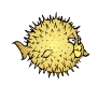 OpenBSD
