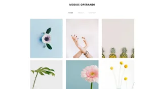 Website template 1 - HostBible site builder